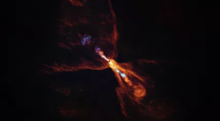 ALMA image of HOPS-315, a still-forming planetary system