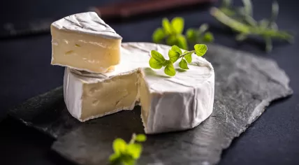 Camembert cheese on dark slate