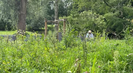 Reading in the Oosterpark in Amsterdam in the heat, 12 August 2025