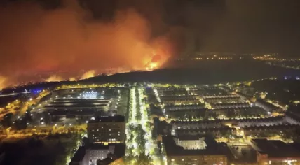 Wildfires break out in Tres Cantos, a northern suburb of Madrid, Spain. 12 August 2025