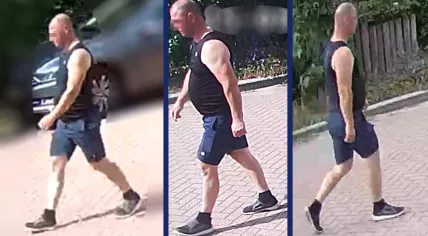 Suspect sought in sexual assault of a woman on Prinses Mariannelaan in Zeist on 15 August 2025