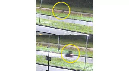 Police investigating the murder of Lisa, 17, in Duivendrecht near Amsterdam were searching for a scooter rider (top) and the occupants of a Biro microcar (bottom). 20 Aug. 2025