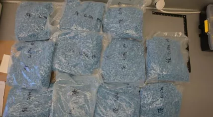 Over 18 kilograms of ecstasy pills hidden in a parcel with cat food. Intercpeted in Dutch mail on 10 July 2024