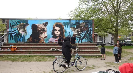 Street art in Amsterdam