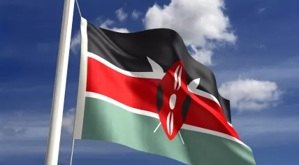 Kenyan flag
