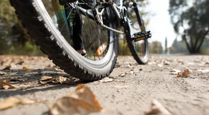 Mountain bike wheels