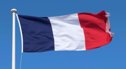 French flag blowing in the wind