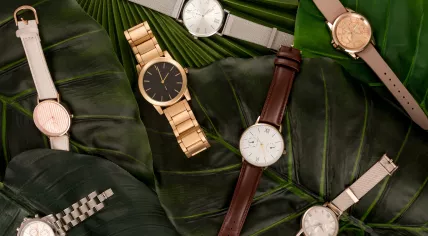 Swiss wristwatches lying on green leaves