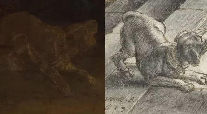 Comparison between the barking dog in Rembrandt’s The Night Watch and Adriaen van de Venne’s 1619 drawing, highlighting the visual similarities that inspired the painting.