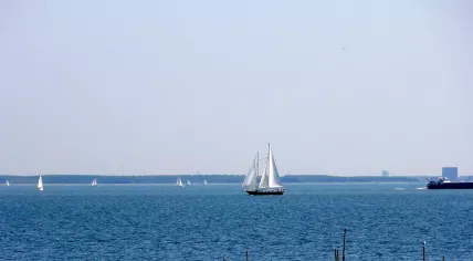 Sail boats on the IJmeer