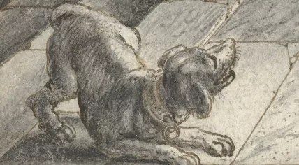 Detail of the dog, Adriaen Pietersz in Adriaen van de Venne's drawing from 1619 that was likely used as inspiration for Rembrandt's The Night Watch.