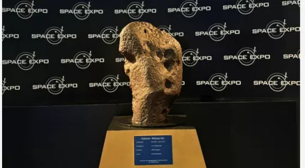 A rare 240-kilogram iron meteorite from Namibia sold for 1.7 million euros at an auction in Noordwijk.
