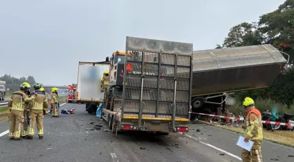 Four trucks collided on the A73 near Belfeld. One killed, one badly hurt. 30 September 2025