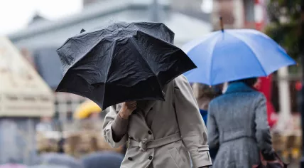 People walking with umbrellas during the rain
