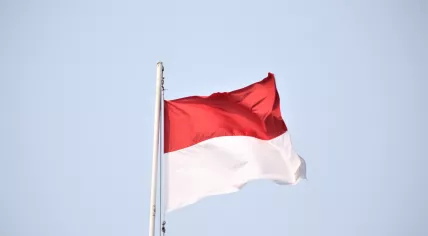 Indonesian flag