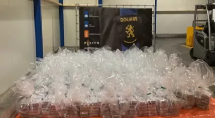 Dutch authorities seized 1,200 kilograms of cocaine hidden in a shipment of bananas from Colombia at the port of Vlissingen on Aug. 8, 2025.