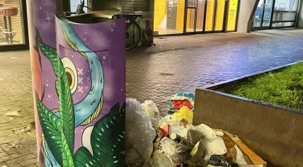 Several nicely painted rubbish bins on Eerste van Swindenstraat in Amsterdam-Oost were ripped open in the search for cans and bottles that can be turned in for deposits. 27 October 2025