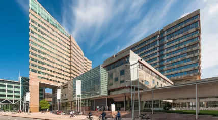 The District and Appeals Court complex on Prins Clauslaan in The Hague. 2016