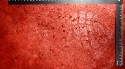 Bloody shoeprint found at the scene of Betty Szabó's murder in Amsterdam's Red Light District on 19 February 2009