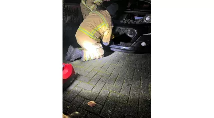 Firefighters rescue a fox stuck between the grille and bumper of a car in Hoogersmilde, 20 November 2025
