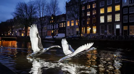 Swan artwork on display at the 14th edition of the Amsterdam Light Festival,  Nov. 2025.