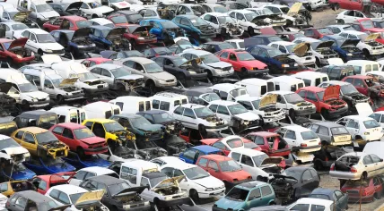 Auto recycling site