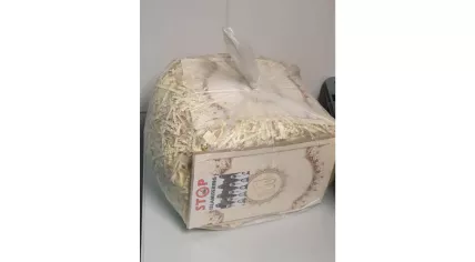 Bags with shredded Qurans and anti-Islam texts left outside the Yunus Emre Mosque in Emmeloord, 9 November 2025