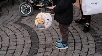 A child with his lantern on Sint Maarten's day