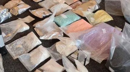 Pharmaceuticals seized from Funcaps in August 2025