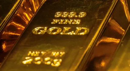 Solid gold bars stored in a black case. 2021