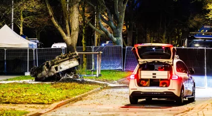 A car crashed into a tree, flipped, and caught on the crossing of Bezuidenhoutseweg and Reigersbergenweg during a police chase in The Hague, 4 December 2025