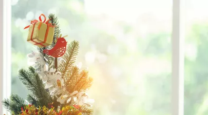 Sunlight streams through a window on Christmas morning.