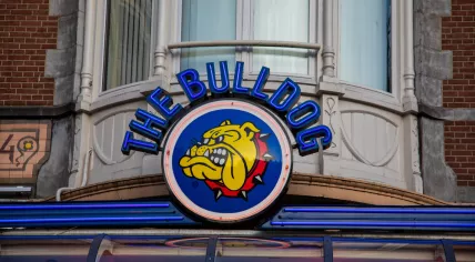 The famous coffeshop Bulldog on the Leidseplein in Amsterdam