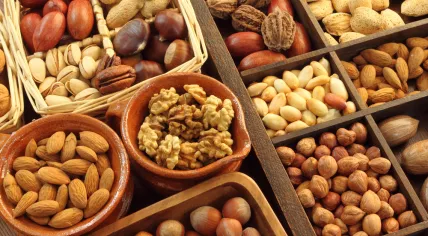 Varieties of nuts: peanuts, chestnuts, hazelnuts, walnuts, pistachio, and pecans.