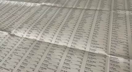 Large ballot paper used in the 2025 parliamentary election