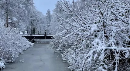 A snowy day in Diemen, Noord-Holland. 5 Jan. 2026