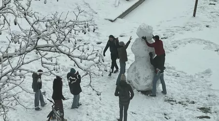 Students build a giant snowman at the University of Amsterdam's Science Park campus. 5 Jan. 2026