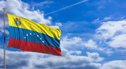 Venezuelan flag
