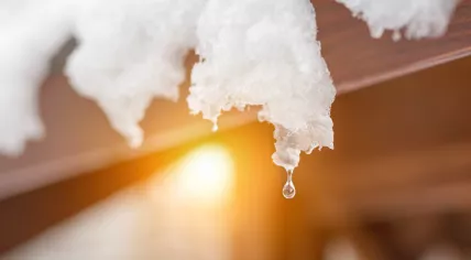 A close-up of melting snow