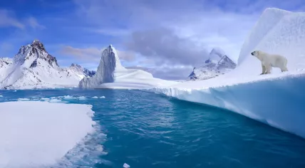 View of the Arctic