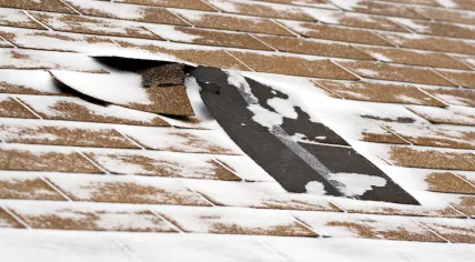 Damaged roof shingles 