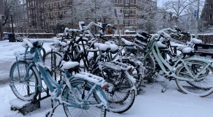 A row of snow-covered bicycles in Amsterdam. 5 Jan. 2026
