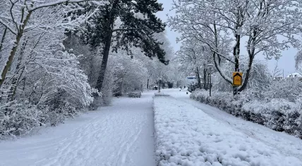 A snowy day in Diemen, Noord-Holland. 5 Jan. 2026
