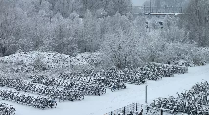 Rows and rows of snow-covered bicycles at a parking area on the University of Amsterdam's Science Park campus. 5 Jan. 2026