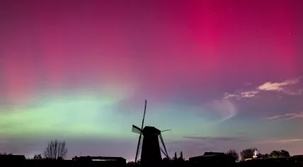 Northern Lights over a windmill in Maasdam on 19 January 2026