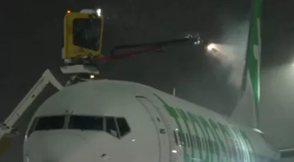 A deicing crew working on a Transavia aircraft at Schiphol Airport in 2025