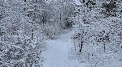 A snowy day in Diemen, Noord-Holland. 5 Jan. 2026