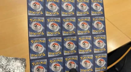 LSD blotter stamps printed as Pokémon cards, seized in Vaals, Limburg. 16 January 2026