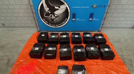 Dutch customs seize 463 kilos of cocaine in mango shipment to Moerdijk. Feb. 1, 2026.