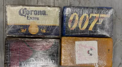 Dutch customs seize 463 kilos of cocaine in mango shipment to Moerdijk. Feb. 1, 2026.
